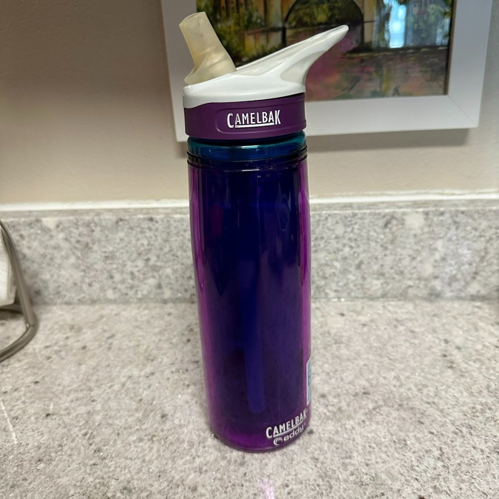 RETIRED CamelBak Eddy Hibiscus Retired (Purple/Blue) Insulated Water Bottle